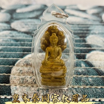 佛牌 七龍佛 金屬立尊 阿贊piean 師父 泰國聖物 佛牌 水龍 佛祖 天神 帕雅納 皇家泰國宗教用品