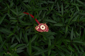 蛇牌/新年禮/蛇來運/生肖系列手工皮/免費刻字