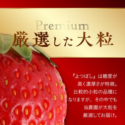 ふるさと納税 久留米市 完熟よつぼしプレミアムギフト