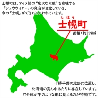 北海道 じゃがいも キタアカリ 10kg 北海道産 十勝産 きたあかり 北あかり ジャガイモ 芋 いも ポテト お取り寄せ まとめ買い 送料無料 十勝 士幌町