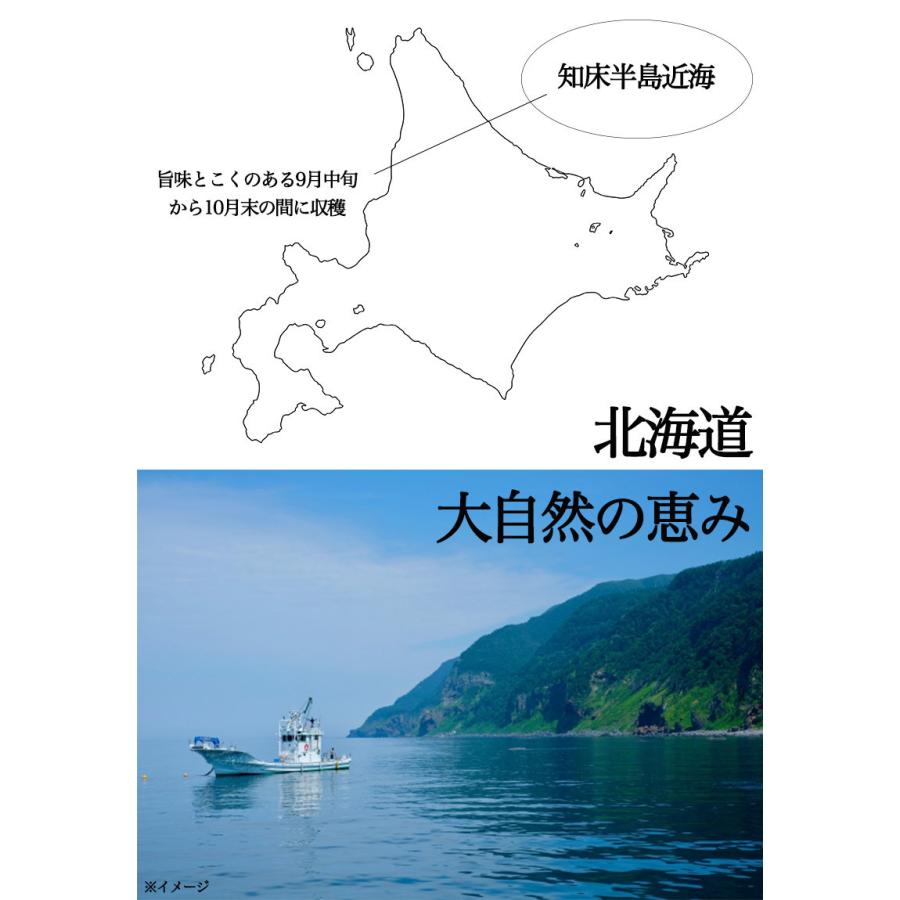 いくら しょうゆ漬け イクラ ギフト 送料無料 国産 北海道 いくら しょうゆ漬け 500g ギフト おせち お歳暮 敬老の日 いくら イクラ しょう油漬 海産物