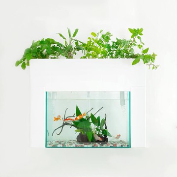 日本製aquaponics 魚菜共生機水耕栽培養耕共生種菜機適用45cm魚缸水族箱家用種菜機親子同樂室內盆栽療癒小物禮物日本必買代購