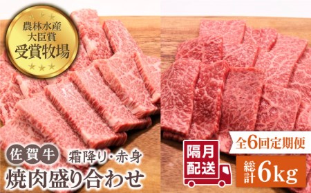 佐賀牛 焼肉セット 1.0kg（霜降り・赤身 各500g）黒毛和牛 焼肉 バーベキュー BBQ[HBH123]