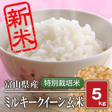 富山県産 特別栽培米 ミルキークィーン(令和4年) 5kg