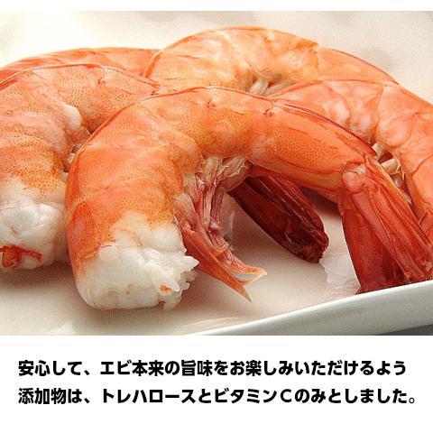 ギフト えび エビ 冷凍 蒸しえび 250g×2 海老 産地直送 茨城県 樫寅 お取り寄せ 七五三 お中元 年賀