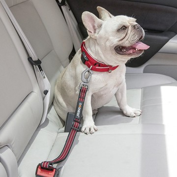 【DOGNESS 多尼斯】寵物汽車安全帶 戶外用品 寵物 貓