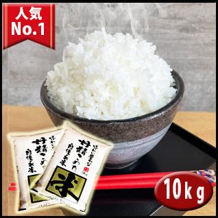 5年産 埼玉でとれたお米 10kg（ 5kg×2 ）白米 送料無料 埼玉県産