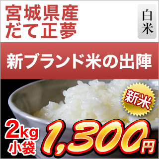 新米 令和5年(2023年)産  宮城県産 だて正夢 白米 2kg