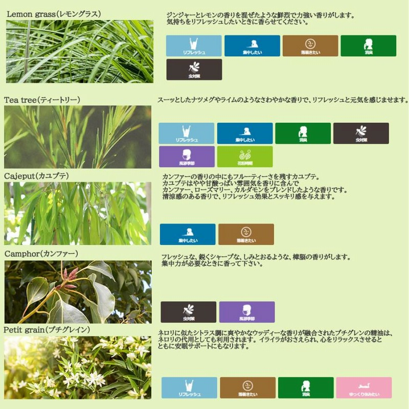  SH アロマ スターター セット エッセンシャルオイル 10ｍｌ 2本 アロマ ストーン セット アンドエスエイチ [ 夜 おしゃれ 無添加 天然 香り 手作り アロマセット 精油 アロマオイル ]tg_smc