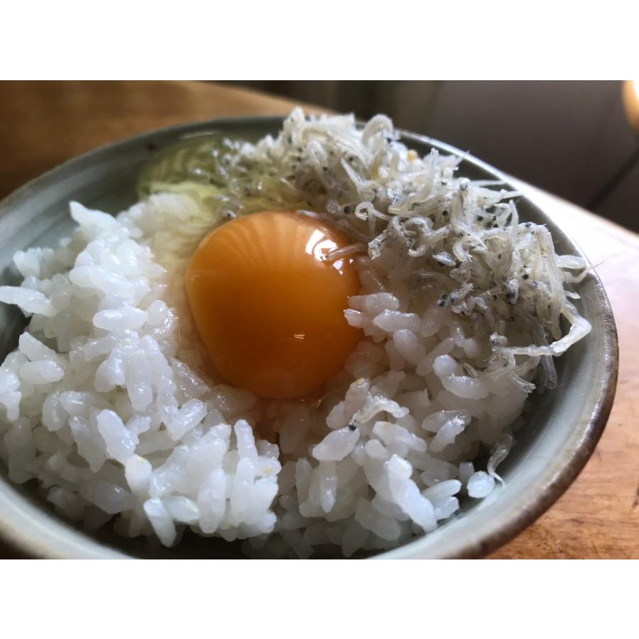 しあわせ卵かけご飯 土佐ジロー卵3０個