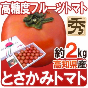 高知県夜須産 高糖度フルーツトマト ”とさかみトマト” 秀品 約2kg 化粧箱 送料無料