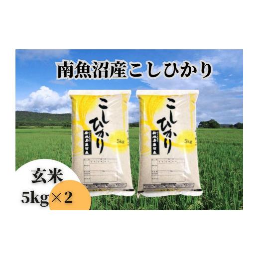 ふるさと納税 新潟県 南魚沼市 中南魚沼産こしひかり 玄米10kg（5kg×2袋）