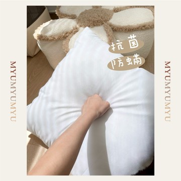 隔日到貨｜全白棉花枕芯 正方長方枕心 抱枕枕套內芯 超澎蓬鬆枕頭芯 多尺寸可選｜MYUMYU 沐慕家居 台灣