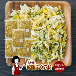 乾燥はくさい 1kg×5／九州産 乾燥野菜 白菜 宅配便 送料無料 九州産 国産 ボイル済み ドライベジ アウトドア キャンプ 保存食 時間短縮