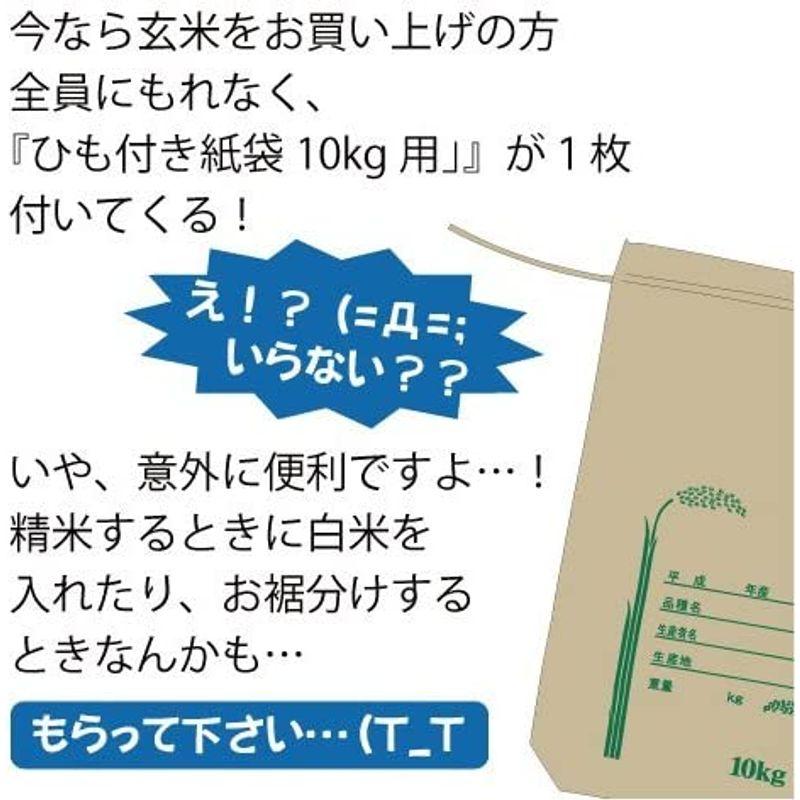 はくちょうもち 玄米 30kg 令和４年産 北海道産 もち米