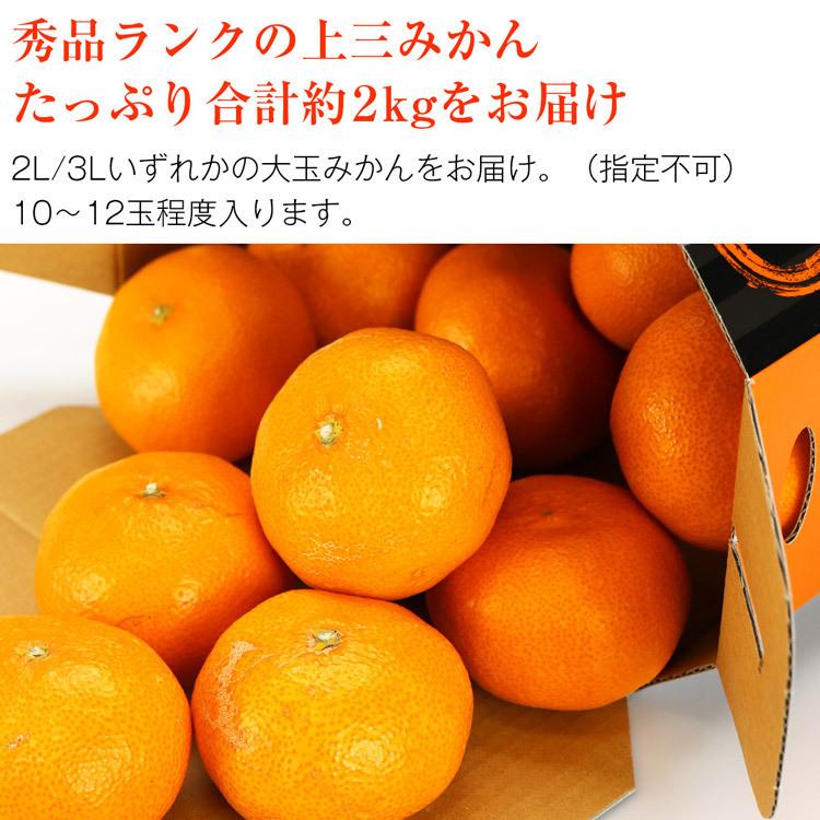 みかん 2kg 熊本県産 大玉 秀 上三みかん 完熟 熊本みかん 10〜12玉 2L 3Lサイズ 蜜柑 ミカン 産地直送 産直 常温便 同梱不可 指定日不可