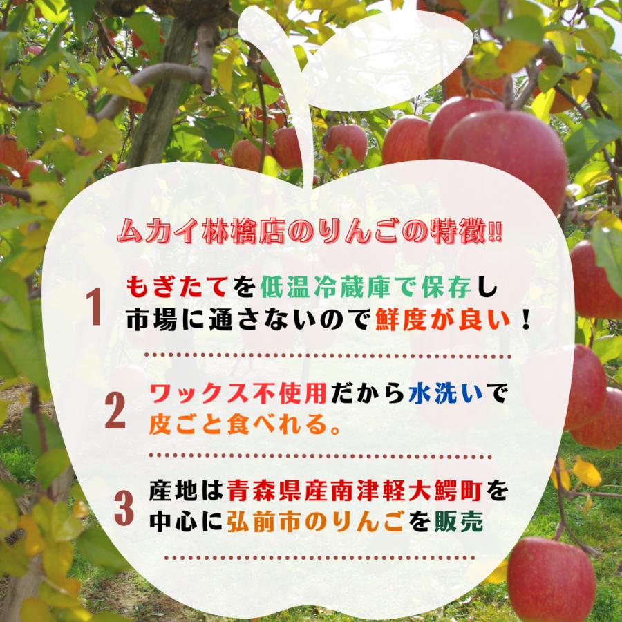 ◆産地直送(弘前産)「青森りんごお任せセット」5kg  C