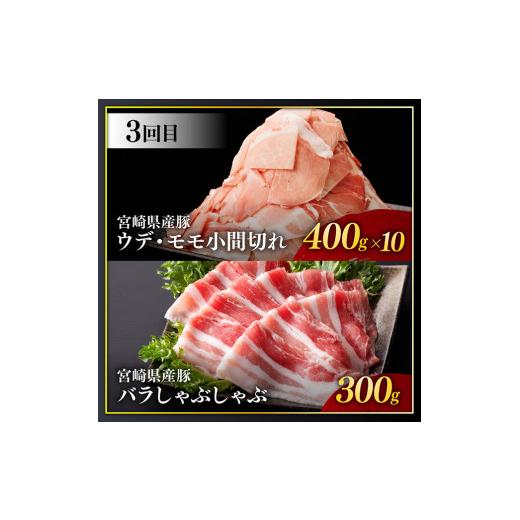 ふるさと納税 宮崎県 川南町 宮崎県産豚肉 お楽しみセット6ヶ月定期便【 ロース とんかつ 豚バラ しゃぶしゃぶ 生姜焼き 小間切れ 豚 肉 豚肉…