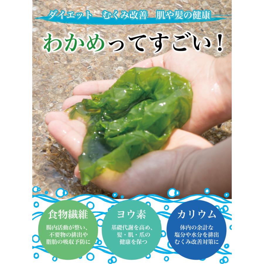 送料無料 メール便 三陸産 乾燥 わかめ 1ｋｇ 業務用 国産 カットワカメ