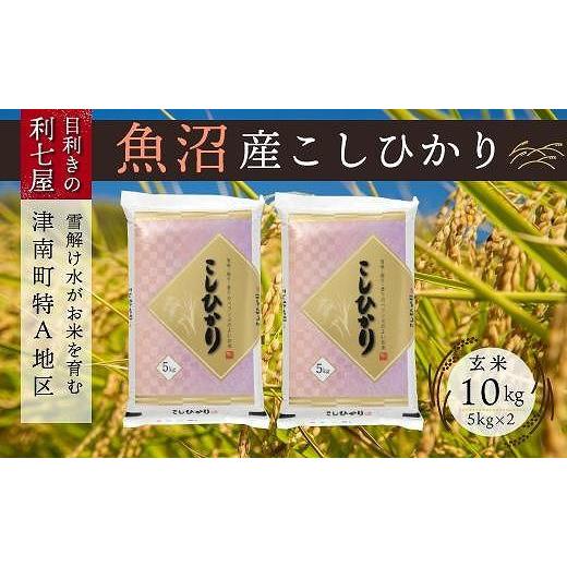 ふるさと納税 新潟県 津南町 雪解け水がお米を育む、津南町特A地区の美味しいお米。