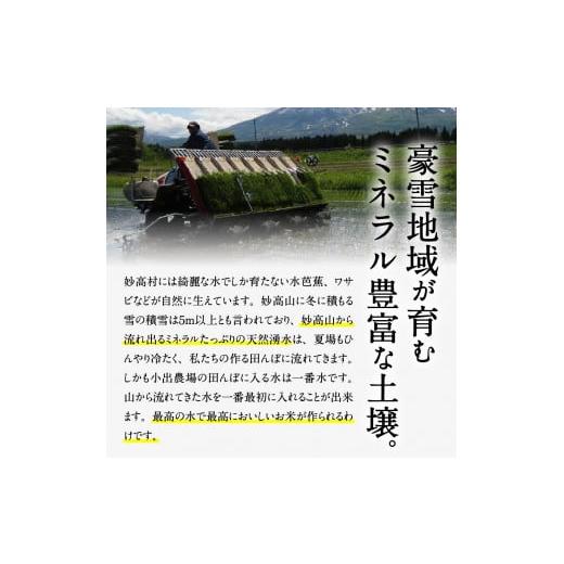 ふるさと納税 新潟県 妙高市 新潟県妙高産こしひかり「星降る里」20kg無洗米