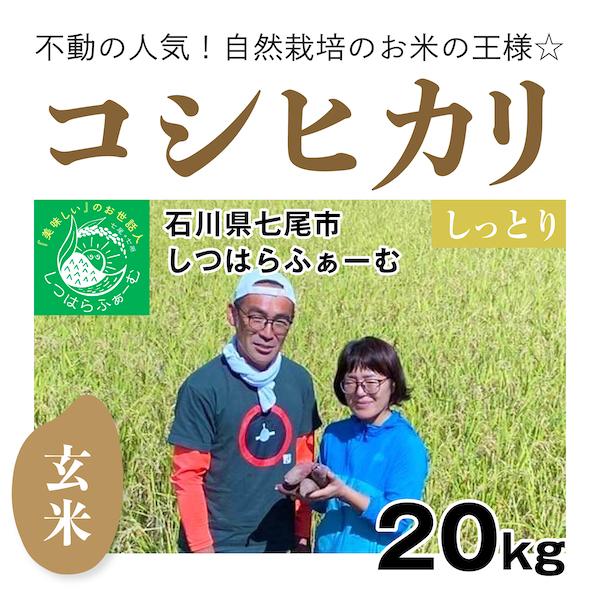 玄米20kg「自然栽培のコシヒカリ」(石川県七尾市)しつはらふぁーむ　自然栽培＠のと 無施肥 令和5年産