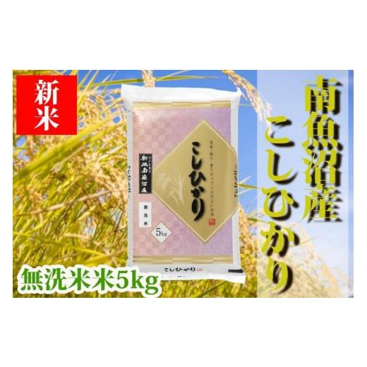 ふるさと納税 新潟県 南魚沼市 南魚沼産コシヒカリ「YUKI」(無洗米5kg)×全3回