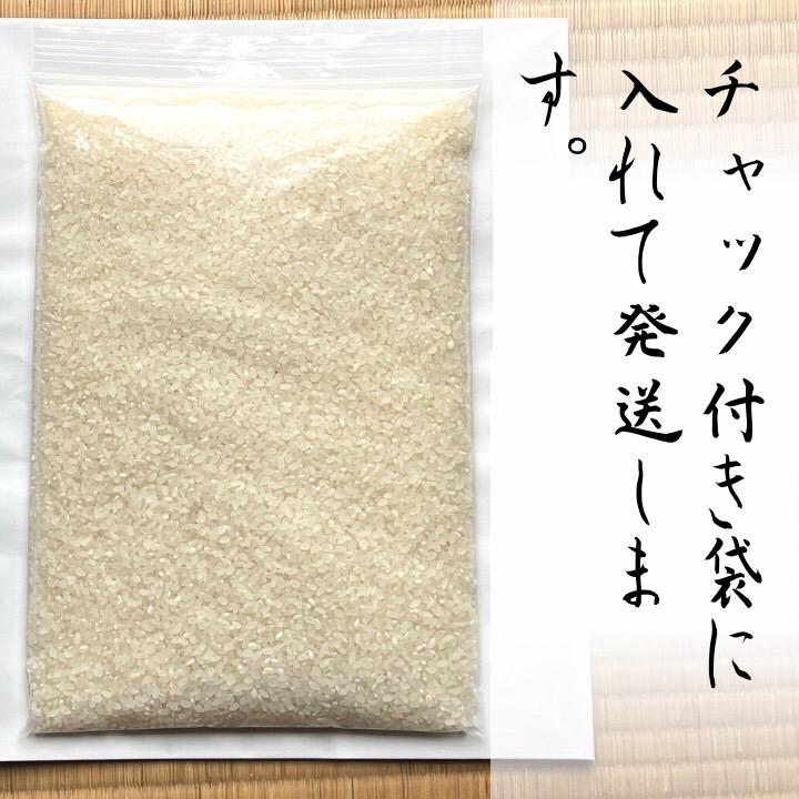 初売りSALE 令和4年 6合分900g キヌムスメ 和歌山県産 お米 精米 ごはん ご飯 米 白米