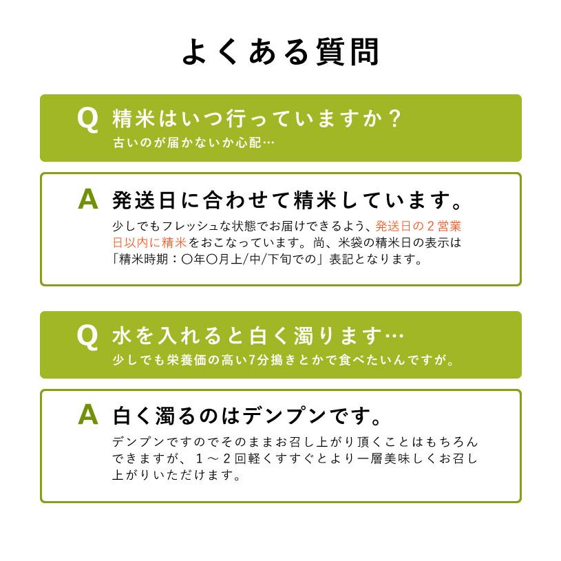 新米使用 米 お米 20kg 送料無 こし姫 コシヒカリ こしひかり 無洗米 九州産 令和5年産米使用 20kg 訳あり米 ブレンド米 オリジナルブレンド米