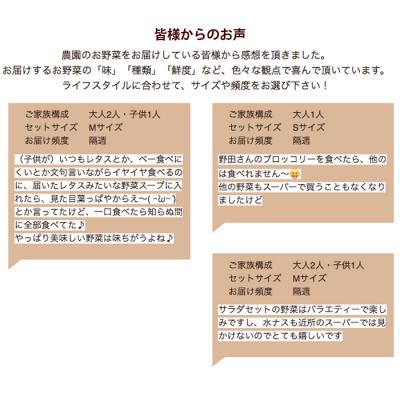 ふるさと納税 淡路市 ご家庭向けお野菜セット〜旬のおまかせBOX〜2回お届け