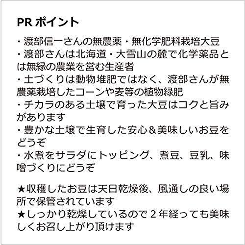 無農薬大豆 北海道産 渡部信一さんの大豆約20kg（約1kg×20個） 品種は音更大袖 無農薬無化学肥料栽培30年の美味しい大豆 渡部さんは大雪山