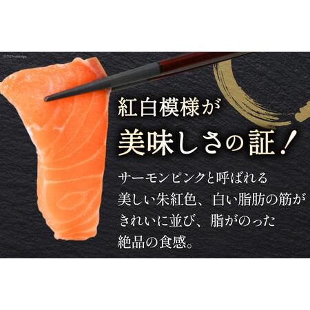 ふるさと納税 ノルウェー産 アトランティックサーモン 総重量800g(正味重量680g) [カネダイ 宮城県 気仙沼市 20562809] 魚 魚介類 サーモン 刺.. 宮城県気仙沼市