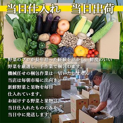 ふるさと納税 雲仙市 雲仙の野菜 16品目以上 フルーツ・キノコ付きの野菜セット 偶数月コース全6回