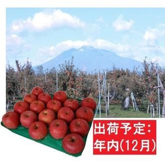 ふるさと納税 12月  サンふじりんご「特A」約5kg 糖度13度以上(14〜20玉程度）  青森県平川市