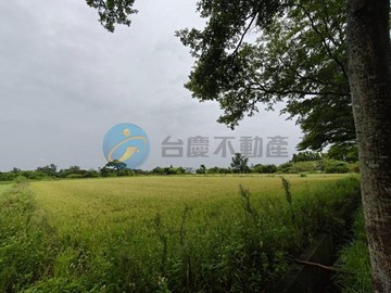 $青埔亮菁菁觀音近大園客運園區/草漯重劃區美農地｜桃園市觀音區廣大段
