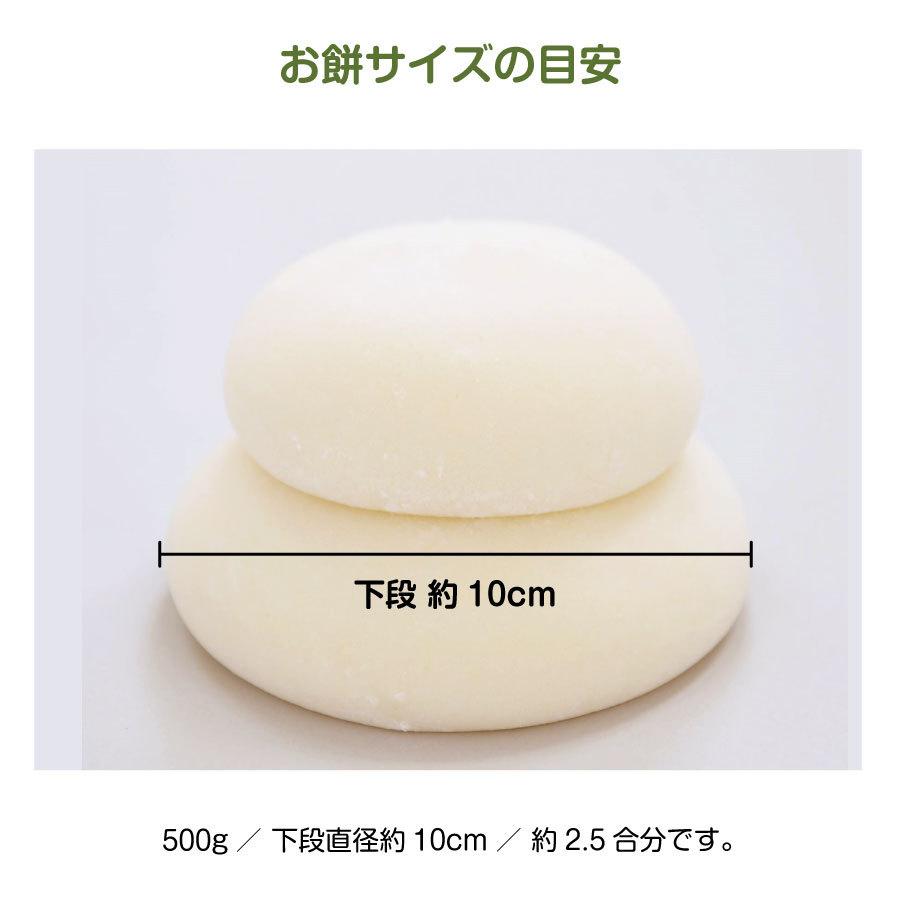 正月 鏡餅 真空パック（500g×1／常温発送） 年末お届け