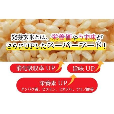 ふるさと納税 無農薬 福井県産 コシヒカリ特選 真空パック 3kg  〜玄米以上の栄養価と白米に近い柔ら.. 福井県坂井市