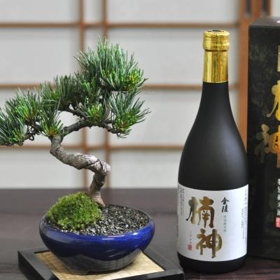 ヤス　盆栽 五葉松 樹高鉢底より約19cm 0he07Pl3ryOh8KKS-