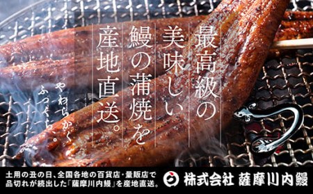 BS-341　国産きざみうなぎ ごぼう入り（タレ付き） 合計850g(85g×10袋)