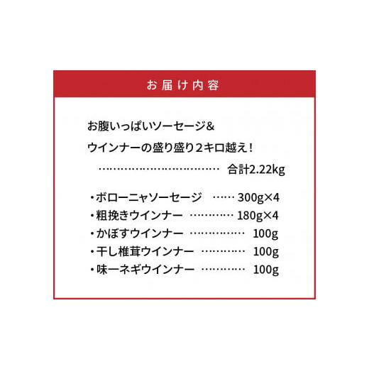 ふるさと納税 大分県 国東市 お腹いっぱいソーセージ＆ウインナーの盛り盛り２キロ越え！・通_29199A