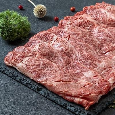 ふるさと納税 都城市 都城産宮崎牛肩ローススライス250g×2