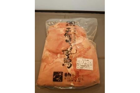 土佐はちきん地鶏ムネ肉 2kg