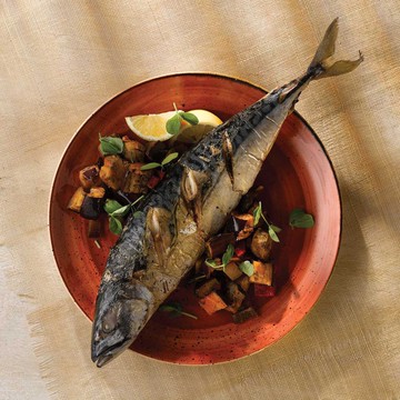 英國Churchill | STONECAST點藏系列彩橘色-圓盤(共五種大小可供)