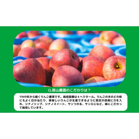 ふるさと納税 りんご サンふじ 家庭用 小玉 10kg 原山農園 沖縄県への配送不可 2024年1月上旬頃から2024年3月上旬頃まで順次発送予定 令和5.. 長野県飯綱町