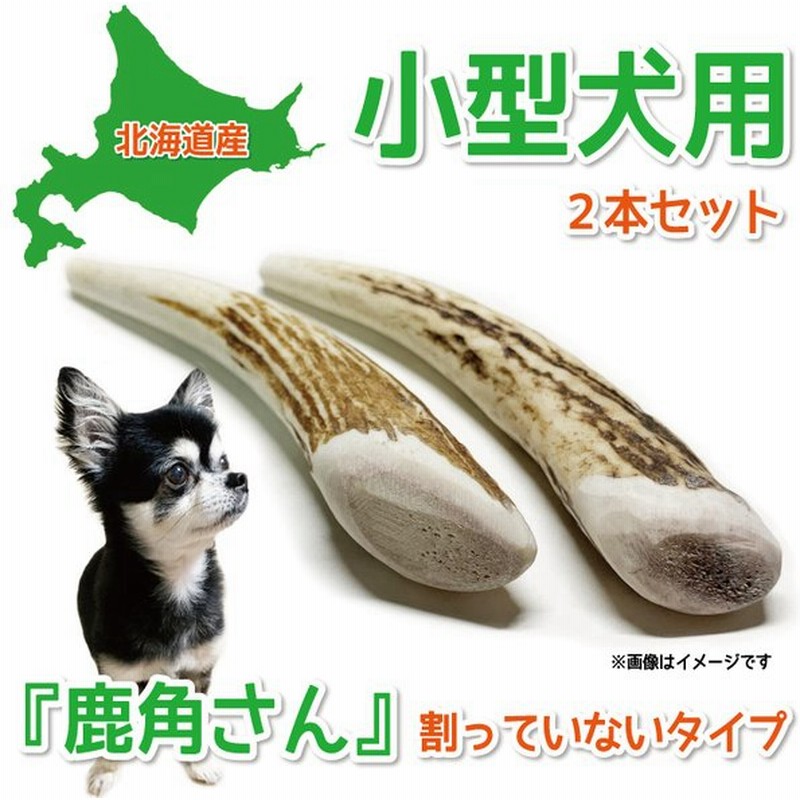 小型犬用 蝦夷鹿の角 『鹿角さん』 先端 2本セット 天然 無添加 北海道産 犬のおもちゃ 鹿の角 犬 かむおもちゃ エゾ鹿 エゾシカ ツノ デンタル 鹿角 噛み癖 通販 LINEポイント最大0.5%GET | LINEショッピング 小型犬用 蝦夷鹿の角 『鹿角さん』 先端 2本セット 天然 無添加 北海道産 犬のおもちゃ 鹿の角 犬 かむおもちゃ エゾ鹿 エゾシカ ツノ デンタル 鹿角 噛み癖 通販 LINEポイント最大0.5%GET | LINEショッピング