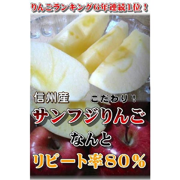 さんふじりんご　個数限定　長野 サンふじりんご 自家用１０ｋｇ 訳あり　ご家庭用７年連続1位のこだわりりんご