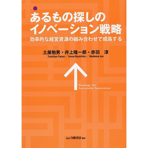 あるもの探しのイノベーション戦略 効率的な経営資源の組み合わせで成長する