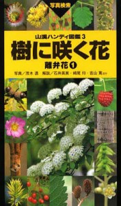 樹に咲く花 写真検索 離弁花1 茂木透 高橋秀男 勝山輝男