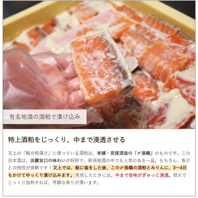 鮭の粕漬け 1300g（14切〜16切入り） 又上 送料無料