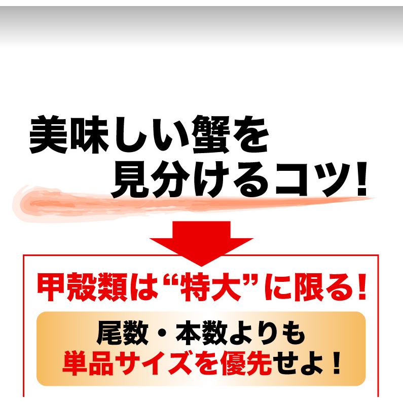 ポイント5倍 御歳暮 お歳暮 ギフト お正月 毛ガニ 北海道産 プレミアム毛蟹 超特大約1kg（3特・4特）1杯 送料無料 産地直送 Y凍